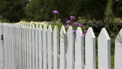 pink petaled flowers blooms near fence