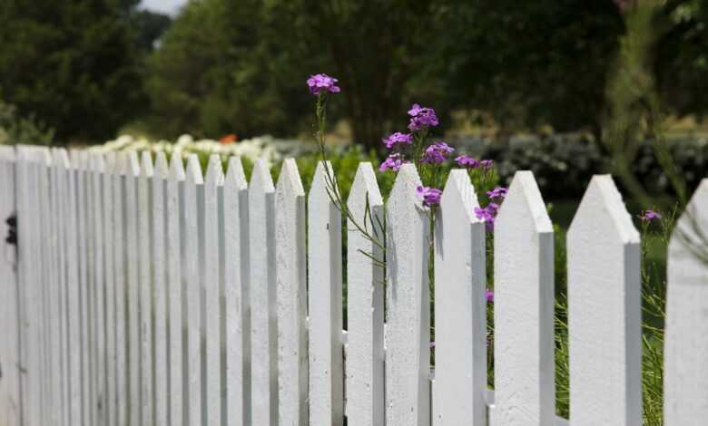 pink petaled flowers blooms near fence