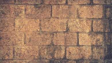 architecture, bricks, wall