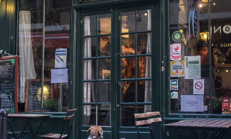 french restaurant, brewery, paris