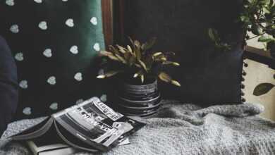 books, cozy, cushion