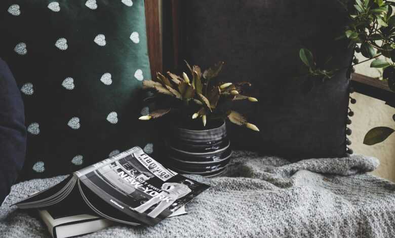 books, cozy, cushion