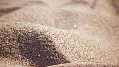 beach, sand, dunes, landscape, sardinia, nature, italy, close up, macro, sand, sand, sand, sand, sand