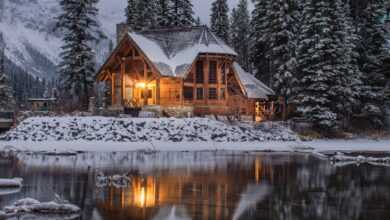 wooden house near pine trees and pond coated with snow during daytime