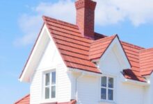 Дах для будинку біля лісу - як захиститися від гілок і листя