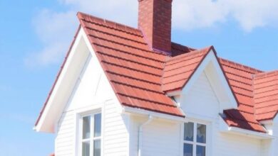 Дах для будинку біля лісу - як захиститися від гілок і листя - Водопостачання та каналізація Дах для будинку біля лісу - як захиститися від гілок і листя