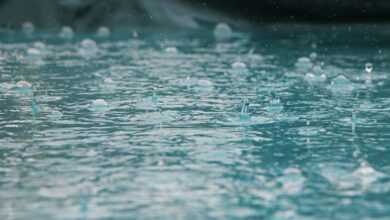 timelapse photography of water drops